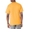 Champion Men’s Classic Everyday Soft, Comfortable T-Shirt (Regular or Big & Tall)(Capri Orange)