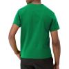 Champion Men’s Classic Everyday Soft, Comfortable T-Shirt (Regular or Big & Tall)(Fresh Leaf Green)
