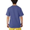Champion Men’s Classic Everyday Soft, Comfortable T-Shirt (Regular or Big & Tall)(Stone Crush Blue)
