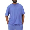 Champion Men’s Classic Everyday Soft, Comfortable T-Shirt (Regular or Big & Tall)(Stone Crush Blue)