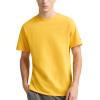 Champion Men’s Classic Everyday Soft, Comfortable T-Shirt (Regular or Big & Tall)(Team Gold – C Logo)