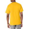 Champion Men’s Classic Everyday Soft, Comfortable T-Shirt (Regular or Big & Tall)(Team Gold – C Logo)