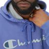 Champion Men’s Fleece Script Logo Hoodie (Reg. Or Big & Tall)(Stone Crush Blue – Classic Script Logo)