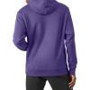 Champion Men’s Pullover Fleece Hoodie, Midweight, C Logo (Reg. Or Big & Tall)(Purple – C Logo)