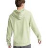 Champion Men’s Vintage Wash, Lightweight Hoodie(Sage Tea Green)