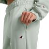 Champion Womens Cinched-Bottom Fleece Sweatpants, Oversized Fit, Midweight(Clever Sage)