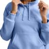 Champion Women’s Pullover Fleece Hoodie, Loose Fit, Midweight, Script Logo(Pewter Blue – Embroidered Script Logo)