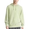 Champion Men’s Vintage Wash, Lightweight Hoodie(Sage Tea Green)