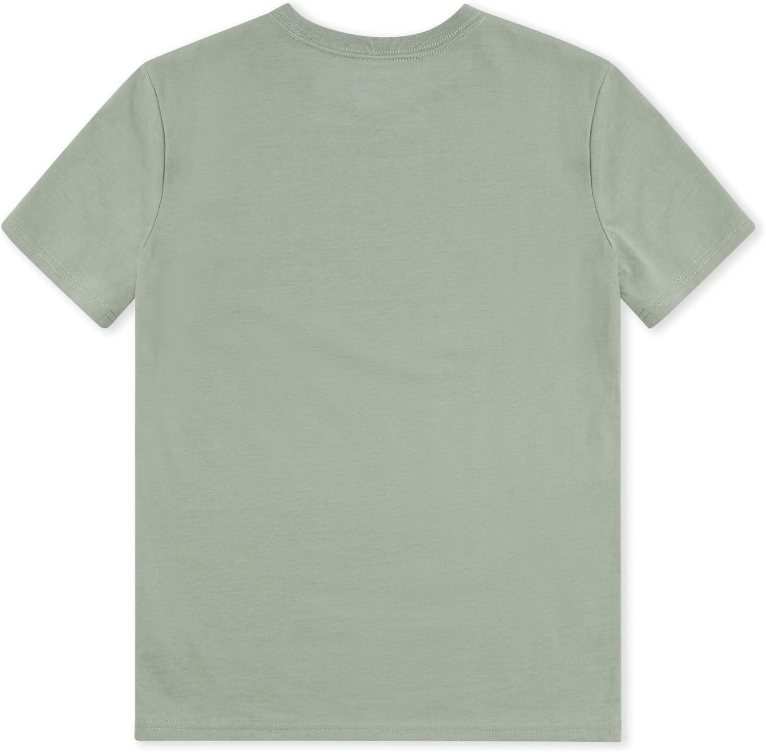 imageChampion Boys Champion Boys Tee Shirt Short Sleeve Logo TShirt for KidsSignature Pale Green