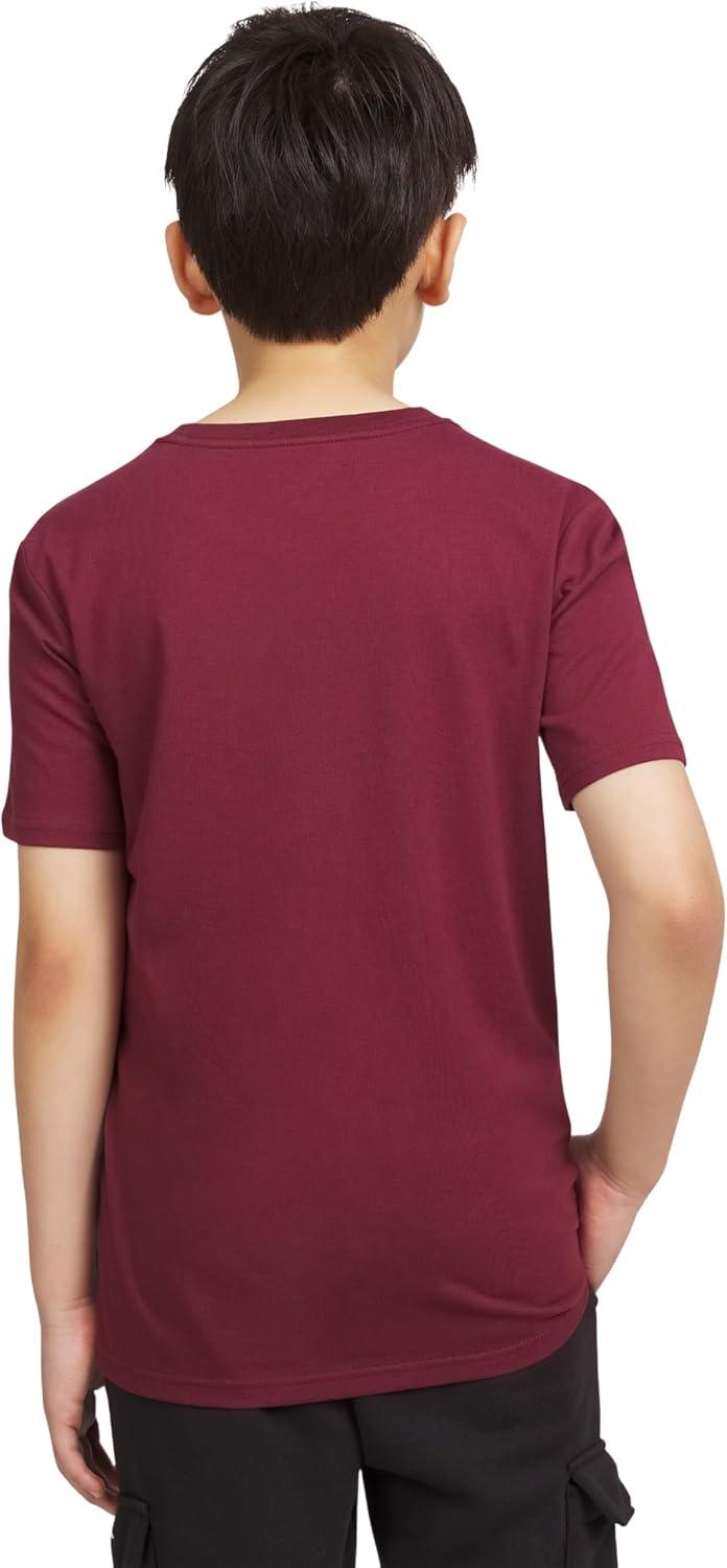 imageChampion Boys Champion Boys Tee Shirt Short Sleeve Logo TShirt for KidsWine