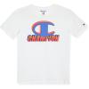 Champion Boys 2 Pack Short Sleeve Tee Shirt for Kids(Surf the Web)