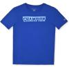 Champion Boys 2 Pack Short Sleeve Tee Shirt for Kids(Surf the Web)