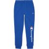 Champion Boys Boys Sweatpants Fleece Jogger Pants(Signature Blue)