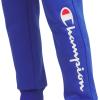 Champion Boys Boys Sweatpants Fleece Jogger Pants(Signature Blue)
