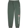 Champion Boys Boys Sweatpants Fleece Jogger Pants(Signature Dark Forest)