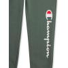 Champion Boys Boys Sweatpants Fleece Jogger Pants(Signature Dark Forest)