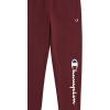Champion Boys Boys Sweatpants Fleece Jogger Pants(Signature Wine)