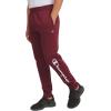 Champion Boys Boys Sweatpants Fleece Jogger Pants(Signature Wine)