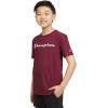 Champion Boys Champion Boys Tee Shirt Short Sleeve Logo T-Shirt for Kids(Wine)