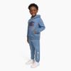 Champion Boys Hoodie and Jogger Set for Kids 2 Piece Athletic Sweatsuit Sets(Dusty Blue)