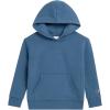 Champion Boys Jogger Set Fleece Hoodie and Sweatpants Tracksuit(Dusty Blue)