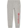 Champion Boys Jogger Set Fleece Hoodie and Sweatpants Tracksuit(Grey Heather)