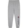 Champion Boys Jogger Set Fleece Hoodie and Sweatpants Tracksuit(Heather Gray)