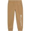 Champion Boys Jogger Set Fleece Hoodie and Sweatpants Tracksuit(Khaki)