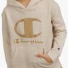Champion Boys Jogger Set Fleece Hoodie and Sweatpants Tracksuit(Khaki)
