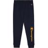 Champion Boys Jogger Set Fleece Hoodie and Sweatpants Tracksuit(Navy Blue)