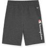 Champion Boys Shorts 2 Pack Athletic Fleece Short for Boys(Malibu Blue)