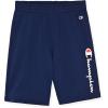 Champion Boys Shorts 2 Pack Athletic Fleece Short for Boys(Navy Blue-grey Heather)
