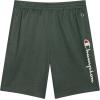 Champion Boys Shorts Athletic Mesh Basketball Shorts for Boys(Signature Dark Forest)