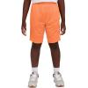 Champion Boys Shorts Athletic Mesh Basketball Shorts for Boys(Signature Nectarine)