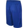 Champion Boys Shorts Athletic Mesh Basketball Shorts for Boys(Signature Surf the Web)