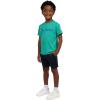 Champion Boys Shorts Sets 2 Piece Tee Shirt and Athletic Shorts for Kids(Signature Oasis Green)