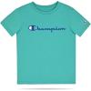 Champion Boys Shorts Sets 2 Piece Tee Shirt and Athletic Shorts for Kids(Signature Oasis Green)