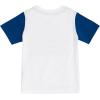 Champion Boys Shorts Sets 2 Piece Tee Shirt and Athletic Shorts for Kids(Surf Blue)