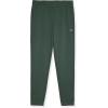 Champion Boys Sweatpants Active Fleece Jogger Pants for Kids(Dark Forest Green)