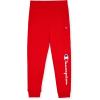 Champion Boys Sweatpants for Kids 2 Pack Athletic Boys Jogger Pants(Red-charcoal Heather)