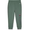 Champion Boys Sweatsuit Set for Kids 3 Piece Boys Hoodie Jogger and Tee Shirt Tracksuit Outfit(Forest Green-grey Zip)
