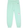 Champion Girls Hoodie and Sweatpant Set for Kids Athletic Fleece Sweatsuit(Aqua Sky)
