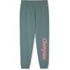 Champion Girls Hoodie and Sweatpant Set for Kids Athletic Fleece Sweatsuit(Mineral Blue)