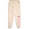 Champion Girls Hoodie and Sweatpant Set for Kids Athletic Fleece Sweatsuit(Oatmeal Heahter)