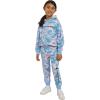 Champion Girls Hoodie and Sweatpant Set for Kids Athletic Fleece Sweatsuit(Placid Blue)