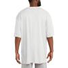 Champion Men’s T-shirt, Sport Tee, Moisture Wicking, Anti Odor, Athletic T-shirt for Men (Reg. Or Big & Tall)(White)