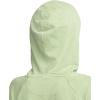 Champion Women’s Vintage Wash Zip-up Hoodie, C Logo(Sage Tea Green)