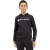 Champion boys Boys Hoodie for Kids Sweatshirt Fleece Youth Pullover With Hood(Black Signature)