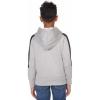 Champion boys Boys Hoodie for Kids Sweatshirt Fleece Youth Pullover With Hood(Gray/Black)