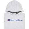 Champion boys Boys Hoodie for Kids Sweatshirt Fleece Youth Pullover With Hood(Grey Signature)